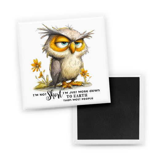 Short Owl Magnet